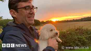 My dog Axel 'wouldn't get on' with Larry the cat, says Burnham