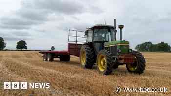 Farmwatch: Farmer on mental health issues