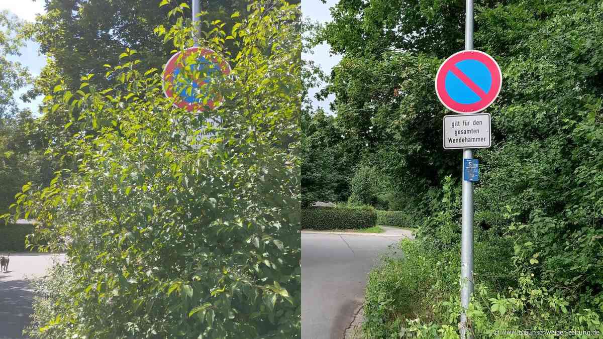 Schild zugewachsen – Wolfsburgerin erhält trotzdem Park-Knöllchen von der Stadt