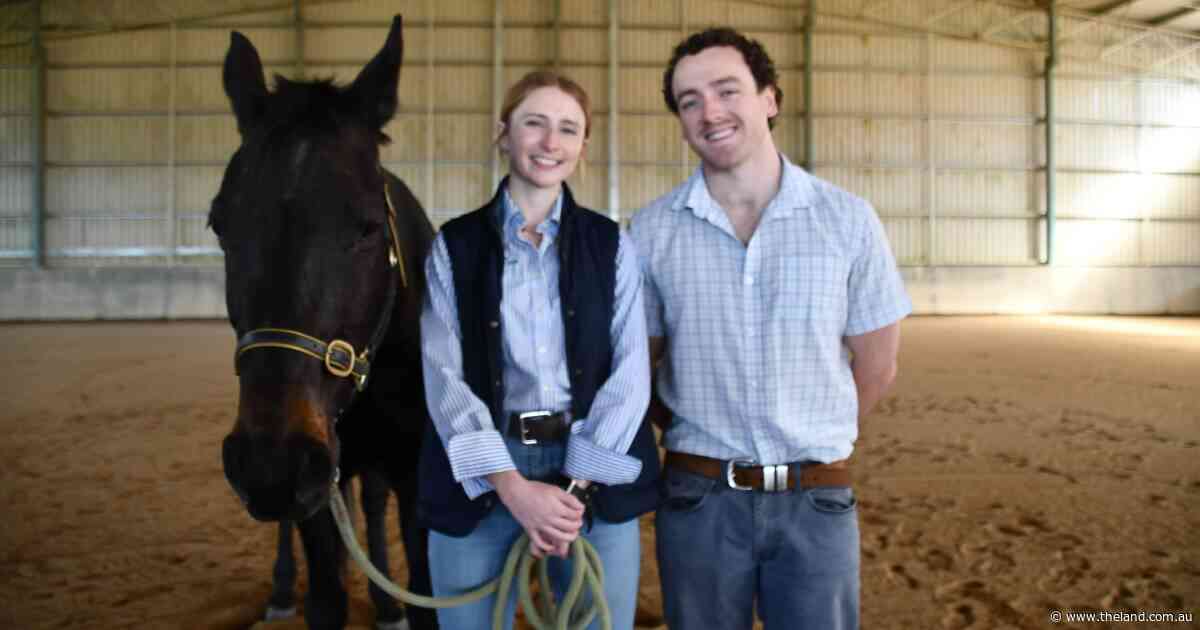 New support for veterinary students to help solve critical industry shortages