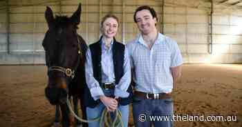 New support for veterinary students to help solve critical industry shortages