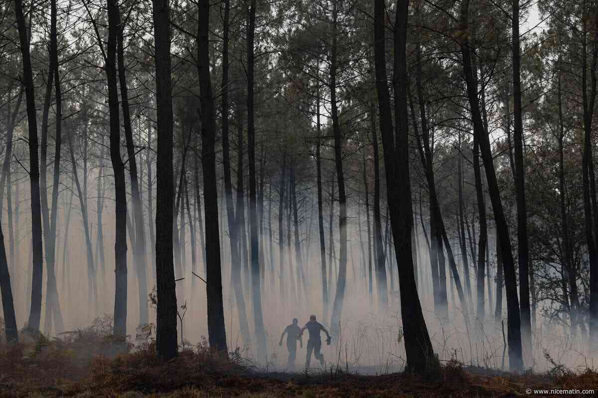 France, Espagne, Portugal, Grèce… On fait le point sur les gros incendies qui ravagent l’Europe