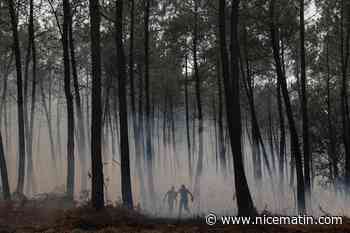 France, Espagne, Portugal, Grèce… On fait le point sur les gros incendies qui ravagent l’Europe