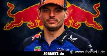 Red Bull: "Wir fragen Max Verstappen nicht jede Woche, ob er bleibt"