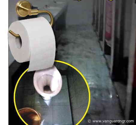 Menace of open defecation: Nigeria’s silent sanitation emergency