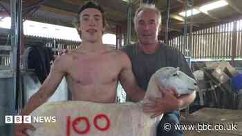 Meet the sheep farmer turned WWE wrestler
