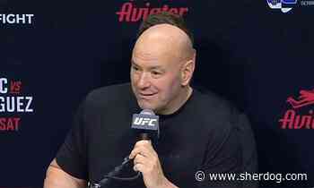 Dana White criticized after UFC Belgrade press conference response