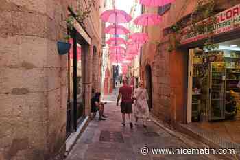 «  Ici, je peux m’asseoir tranquillement à l’ombre et enfin respirer un peu » : quelques idées de lieux frais nichés au cœur de Cannes, Antibes et Grasse
