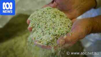 Why farmers are spreading crushed glass on their crops