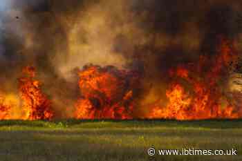 Suffolk Scrapped Climate Emergency Declaration Two Weeks Before 'Apocalyptic' Wildfire Hit