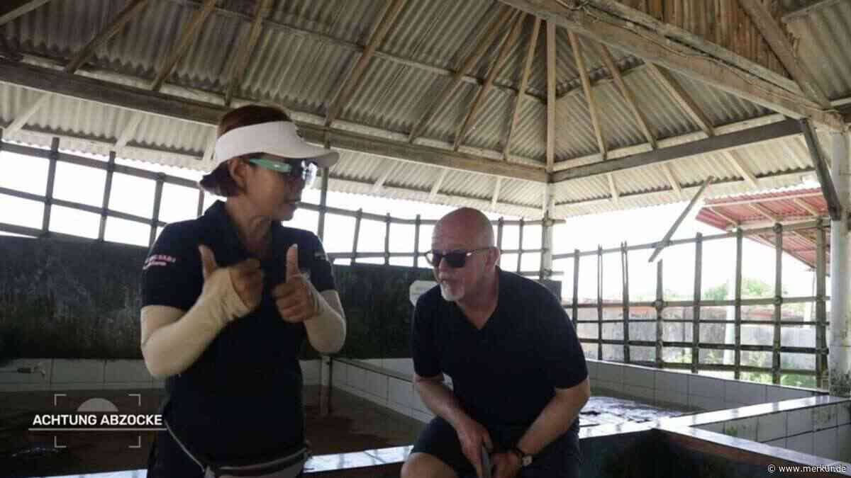 Tierquälerei auf Bali erschüttert Peter Giesel zutiefst: „Selten so was Trauriges gesehen“