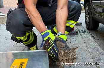 FW-M: Hund und Katze aus überhitztem Fahrzeug gerettet (Pasing)