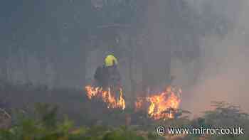 Suffolk fire live: Dunwich Heath wildlife habitats devastated as blaze burns on