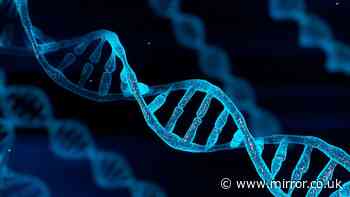 Scientists uncover traces of two mysterious 'ghost' ancestors in human DNA