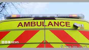Three in hospital after Bolton dog attack