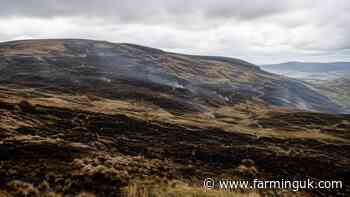 Wildfires scorch more than 1,100 hectares of rural Wales