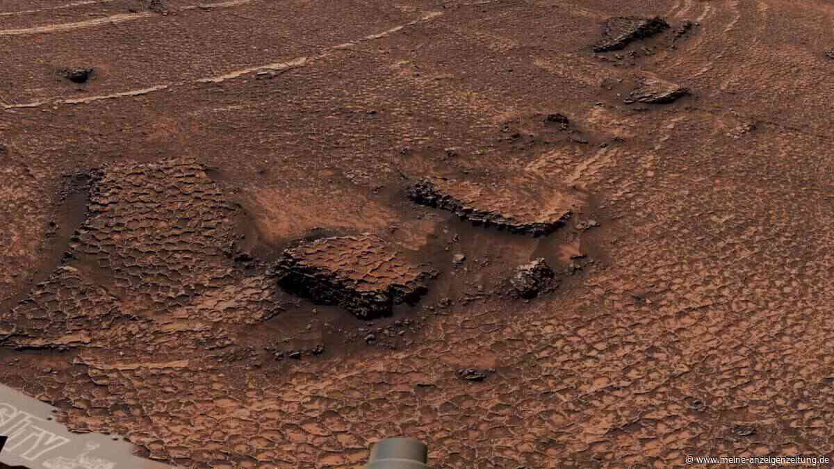 „Hat uns den Atem geraubt“ – NASA-Rover entdeckt auf dem Mars ein riesiges Polygon-Muster