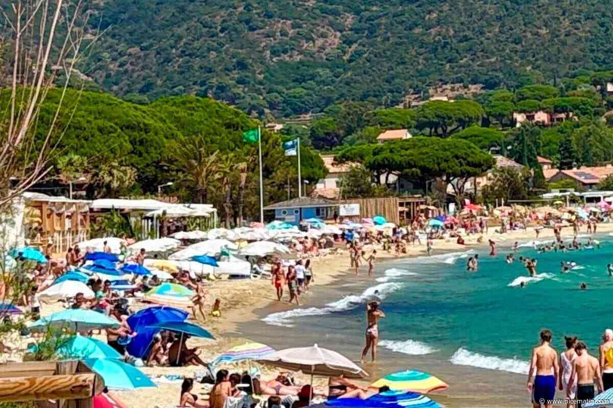 Drapeau vert, analyses, fermetures… Comment est surveillée la baignade au Lavandou