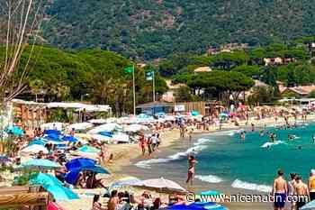 Drapeau vert, analyses, fermetures… Comment est surveillée la baignade au Lavandou