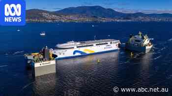 Slow-motion big ship lift operation thrills spectators in Hobart