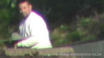 Benefit cheat 'too weak' to lift phone caught climbing scaffolding and running 10k