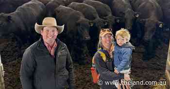 Prices firm or a touch softer at Forbes store sale for high quality weaners