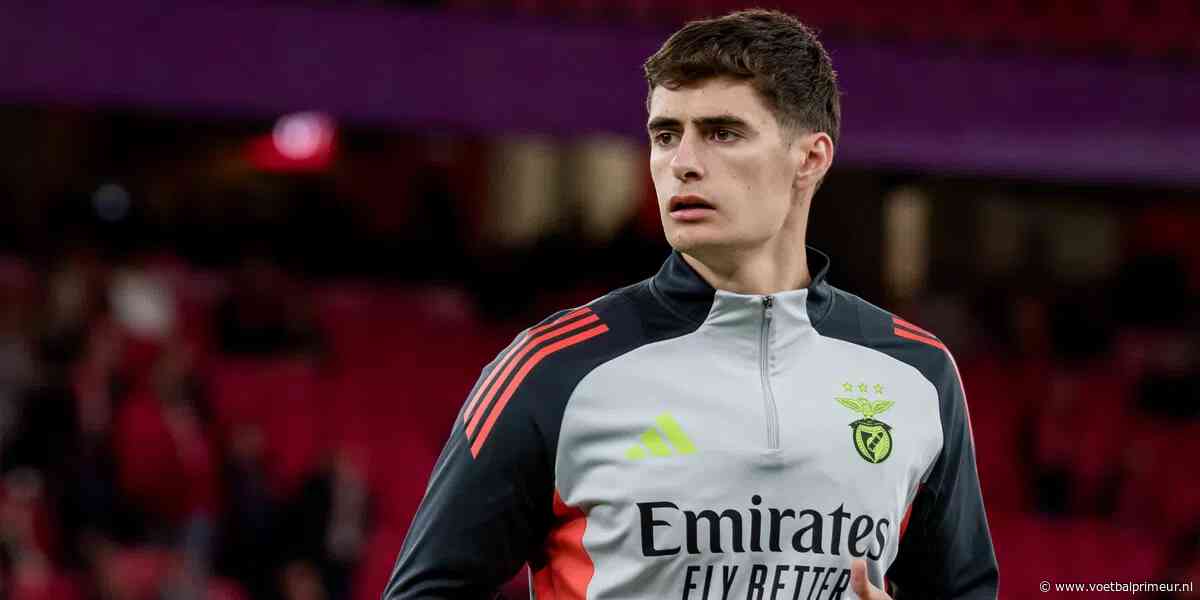 'Benfica ontvangt 25 miljoen en kan gaan aankloppen bij Ajax voor Sutalo'