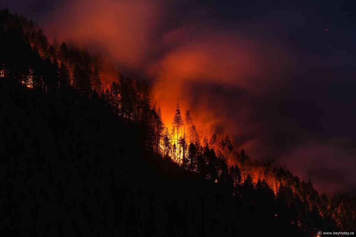 B.C. firefighters face critical days as dry fuels and winds increase fire risks