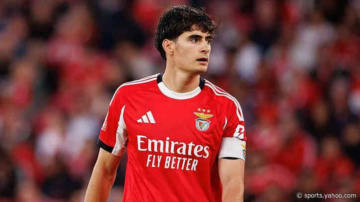 Bournemouth agree £26m fee for Benfica defender Silva