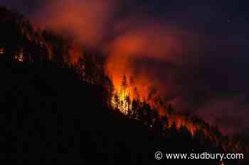 B.C. firefighters face critical days as dry fuels and winds increase fire risks