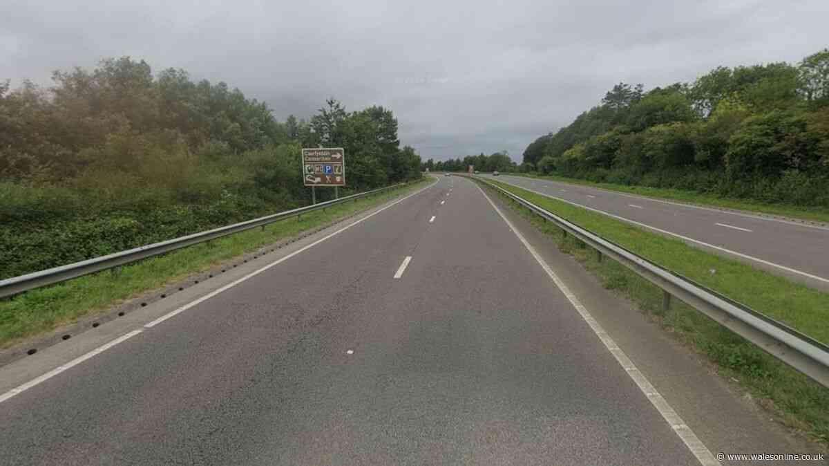 Police issue update on pedestrian killed in six-vehicle crash