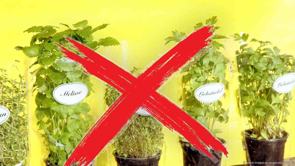 Vorsicht bei Küchenkräutern: Dieses Zeichen bedeutet Verzehrverbot