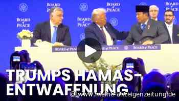 Trump kündigt Hamas-Entwaffnung im Gazastreifen an – Video