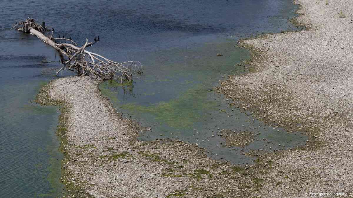 Si è tuffato nel Po per salvare la figlia e non è più riemerso: sono ancora in corso le ricerche del 34enne a Rovigo. È il secondo caso in 24 ore