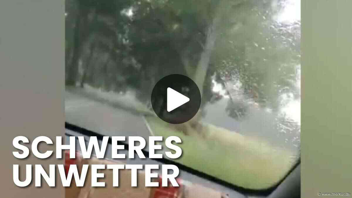 Baum stürzt auf fahrendes Auto – Mutter und Tochter im Wagen, Kind filmt den Moment