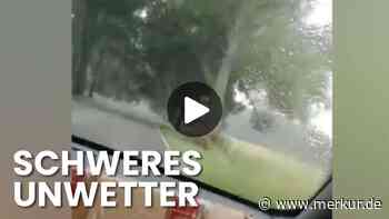 Baum stürzt auf fahrendes Auto – Mutter und Tochter im Wagen, Kind filmt den Moment