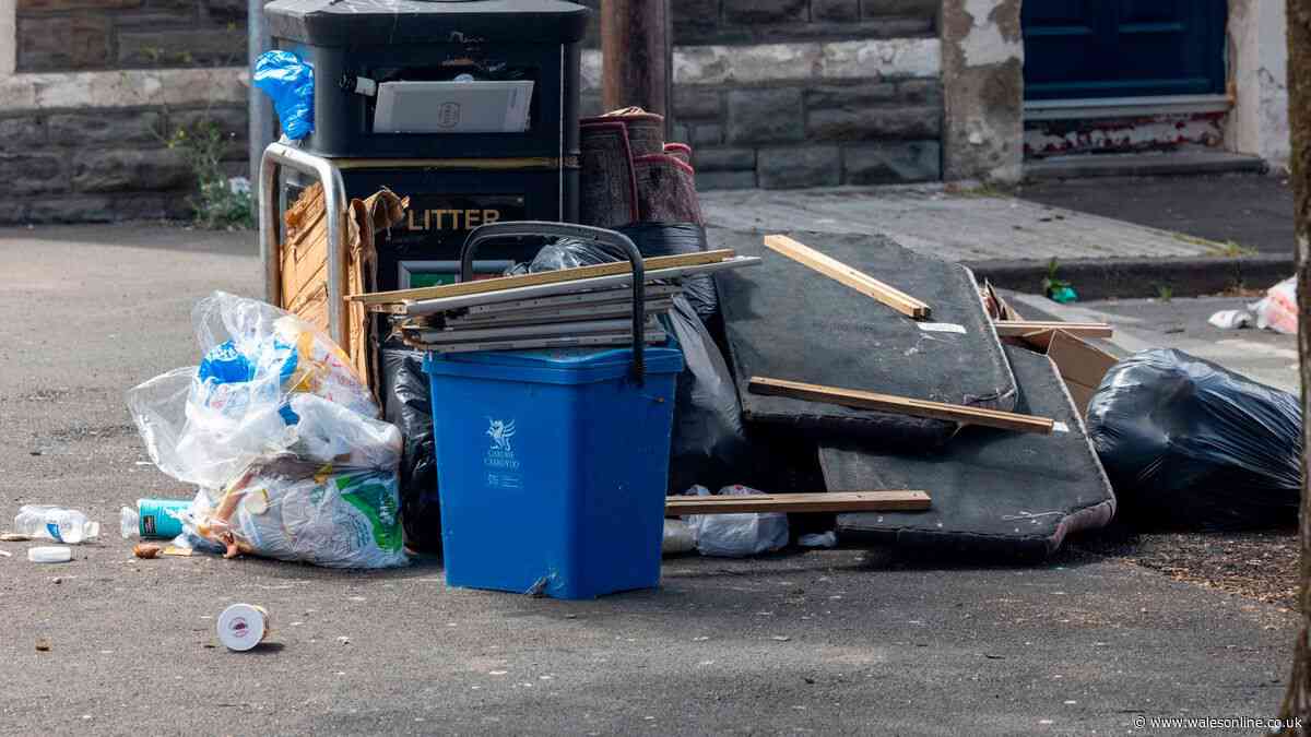 The disgusting state of Cardiff streets being blighted by fly-tippers