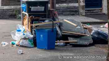 The disgusting state of Cardiff streets being blighted by fly-tippers