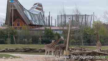 Chester Zoo welcomes new animal as keepers capture adorable photographs