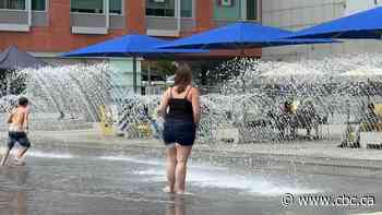 Kitchener pilot transforms part of King Street into pedestrian block