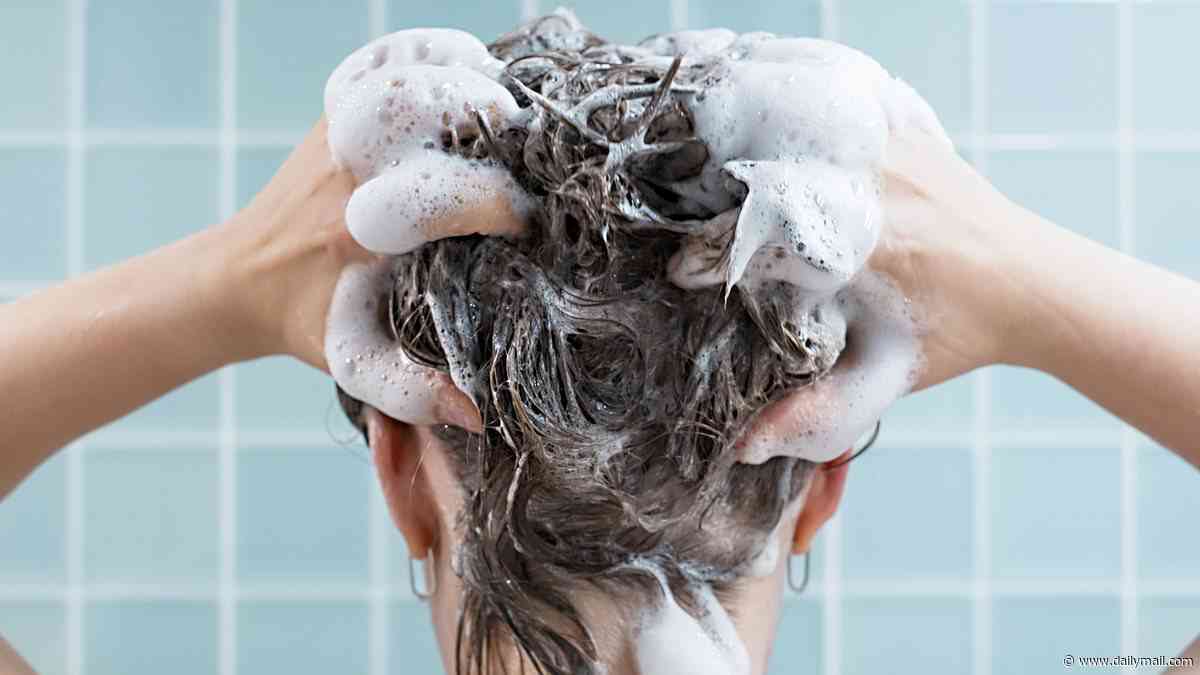 Would YOU turn off your shower while shampooing? Woke environmental scientists want you to 'pause' the water while lathering