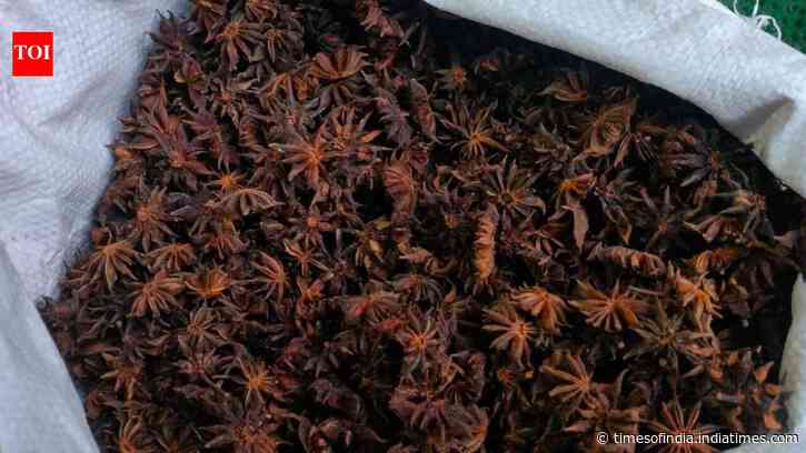 A wild Himalayan spice is helping 200 families protect 100 sq km of forest while generating an income of Rs 39 lakh