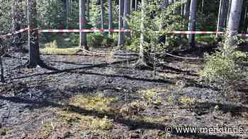Obdachloser tritt Lagerfeuer aus – Glutreste lösen Waldbrand aus