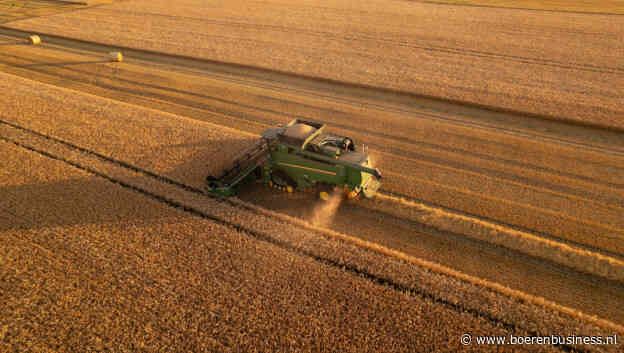 Graanoogst EU bijna een tiende kleiner door droogte