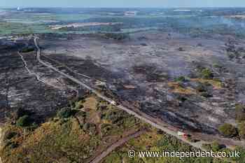 UK wildfires latest: Blaze breaks out in Essex while firefighters tackle ‘unpredictable’ flames in Suffolk