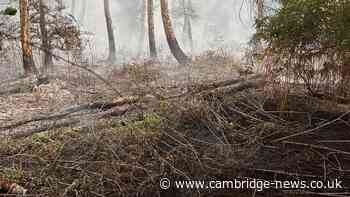 Firefighters share cause of large nature reserve fire which burned for five days