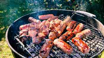 Binman urges Brits to take important action after enjoying a BBQ this summer