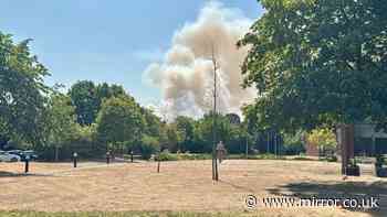 UK wildfires live: Colchester and Dunwich Heath blazes rage as huge areas scorched