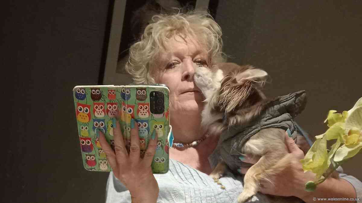 'My chihuahua knew I had cancer before doctors - he saved me'
