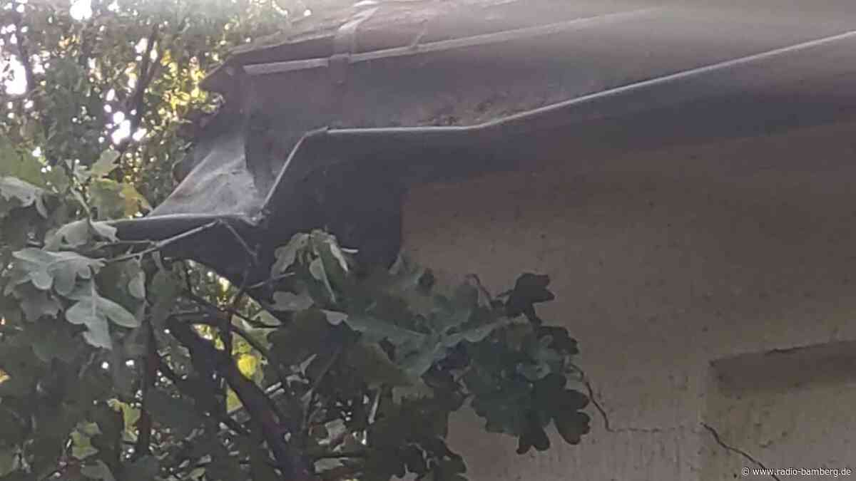 Sommergewitter verursacht Ast- und Gehölzschäden in Bamberg